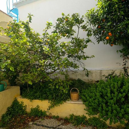 Archontiko Pataka Apartment Rhodes City ภายนอก รูปภาพ