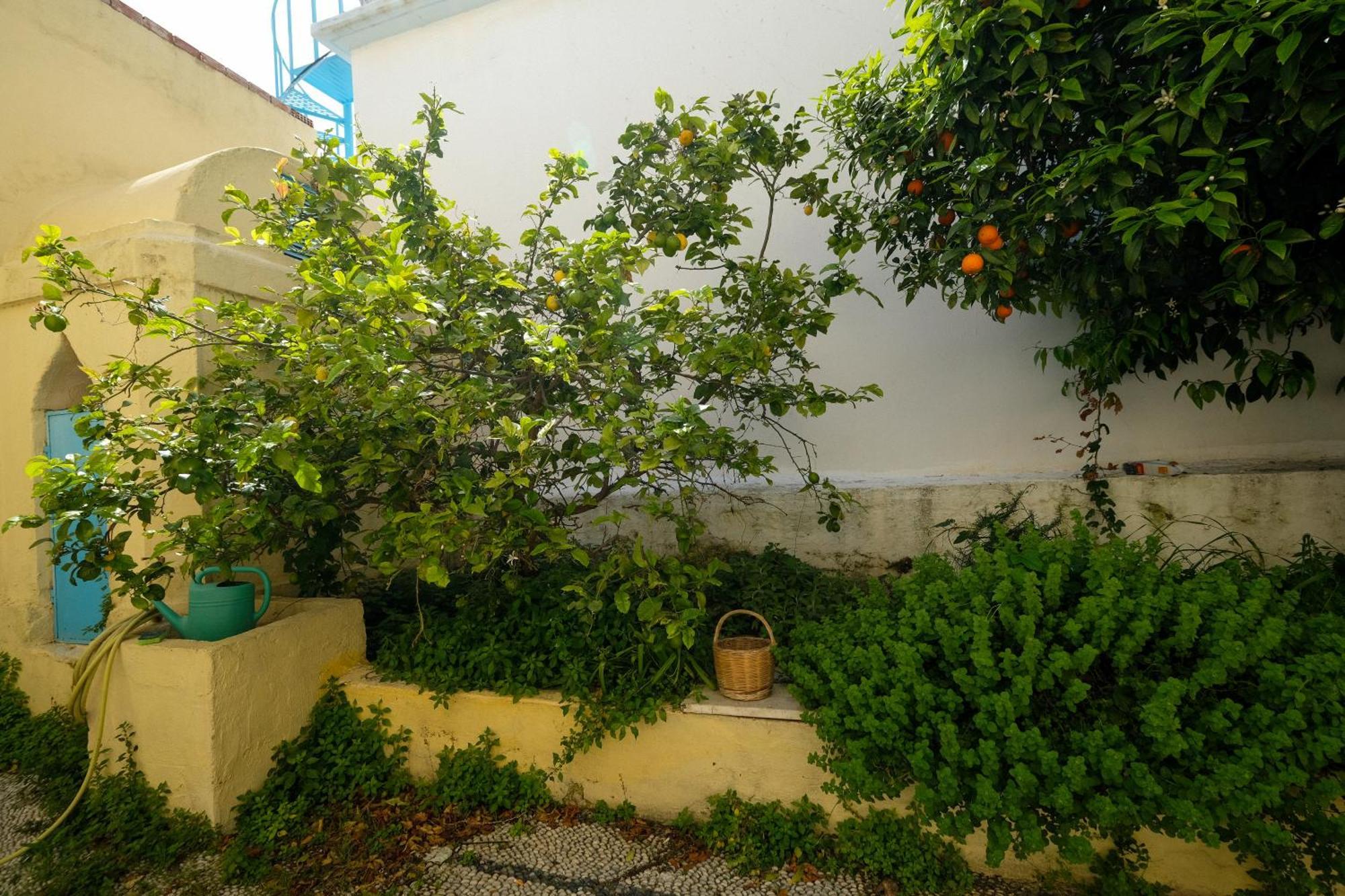Archontiko Pataka Apartment Rhodes City ภายนอก รูปภาพ